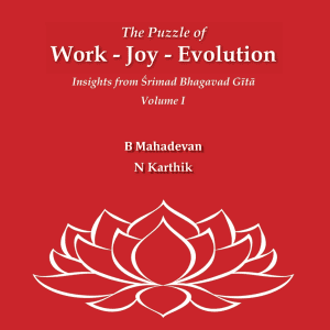 The Puzzle of Work - Joy - Evolution
