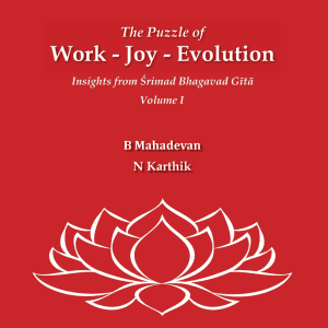 The Puzzle of Work - Joy - Evolution - Bulk Purchase